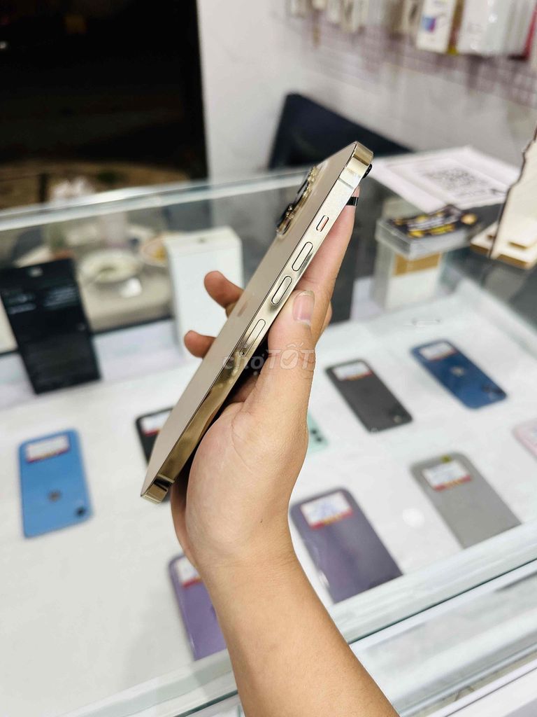 Apple iPhone 13promax gold zin full. Mua bán Điện thoại tại Thị xã Phú Mỹ Bà Rịa - Vũng Tàu được đăng bởi Bi  hình 1