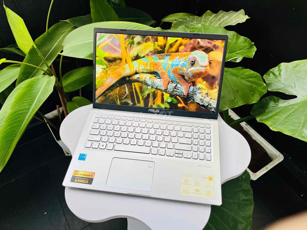 Asus Vivobook X515EA i3-1115G4 15.6 inch 8GB/512GB. Mua bán Laptop tại Quận Lê Chân Hải Phòng được đăng bởi Nguyễn Hải Duy hình 1