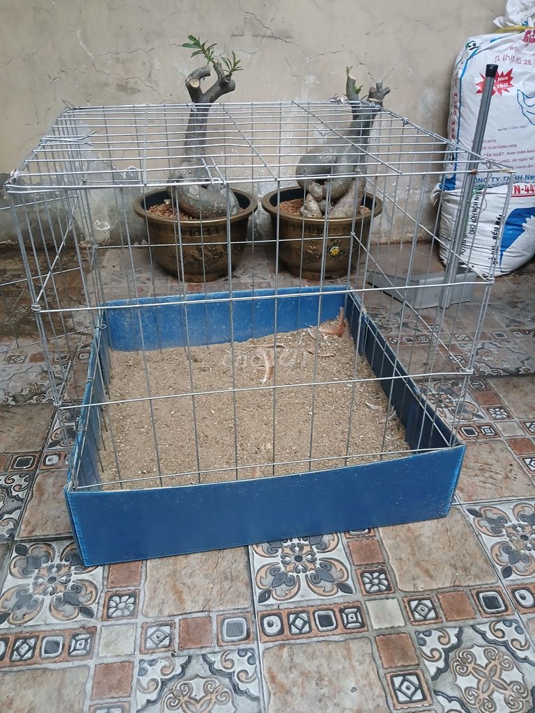 Chuồng gà kim loại 60 vuông. Mua bán Phụ kiện, Thức ăn, Dịch vụ tại Quận Tân Bình Tp Hồ Chí Minh được đăng bởi nguyen tan lan hình 1