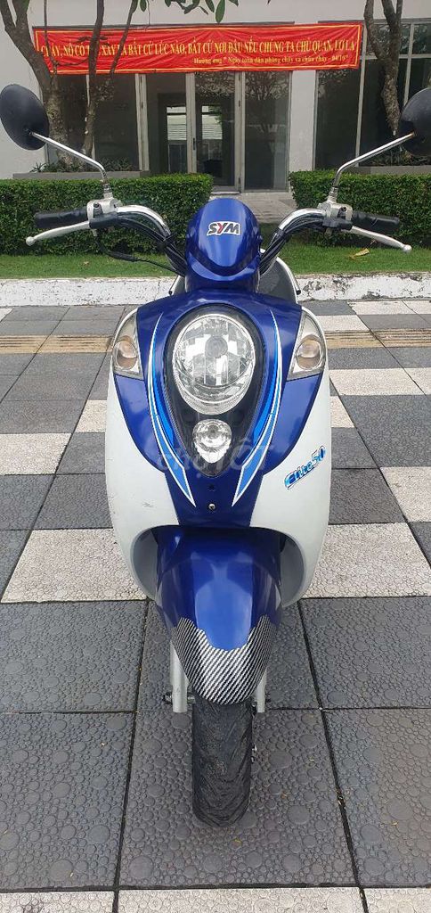 Elite 50cc 2019..Xe luot 16ngan. Mua bán Xe máy tại Quận 7 Tp Hồ Chí Minh được đăng bởi Nguyễn văn lộc hình 1