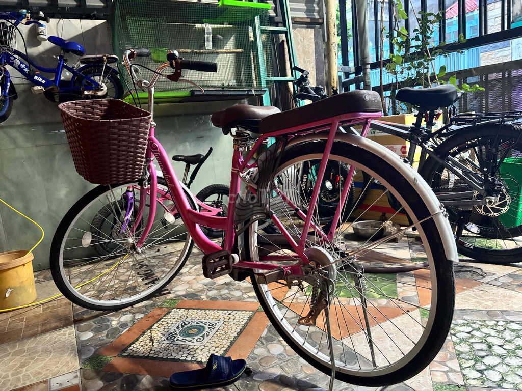 Thanh Ly Xe Dư Không Dùng Tới. Mua bán Xe đạp tại Thành phố Biên Hòa Đồng Nai được đăng bởi Dương Ngọc Tú hình 2