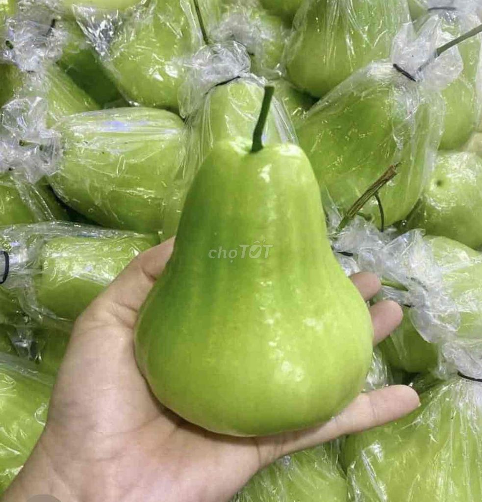 Cây giống Mận tam hoa. Mua bán Đồ chuyên dụng, Giống nuôi trồng tại Huyện Cái Bè Tiền Giang được đăng bởi Võ Minh Luân hình 1