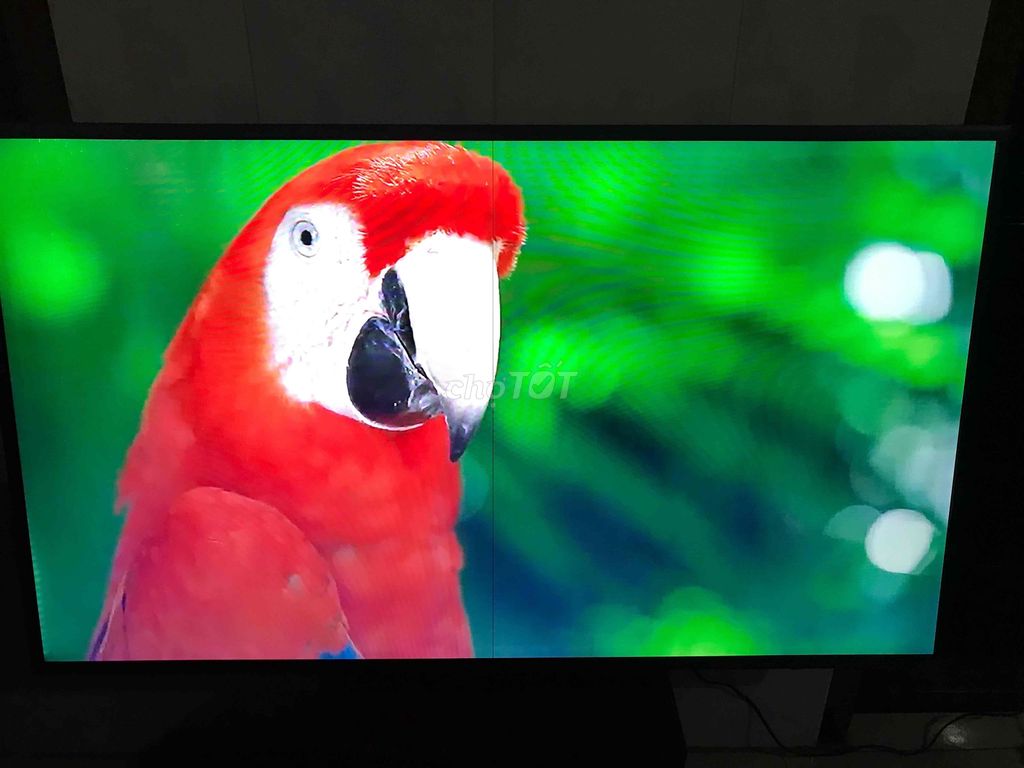 Tivi Samsung 49 inch. Mua bán Tivi, Âm thanh tại Huyện Đất Đỏ Bà Rịa - Vũng Tàu được đăng bởi Thiện Lành hình 1