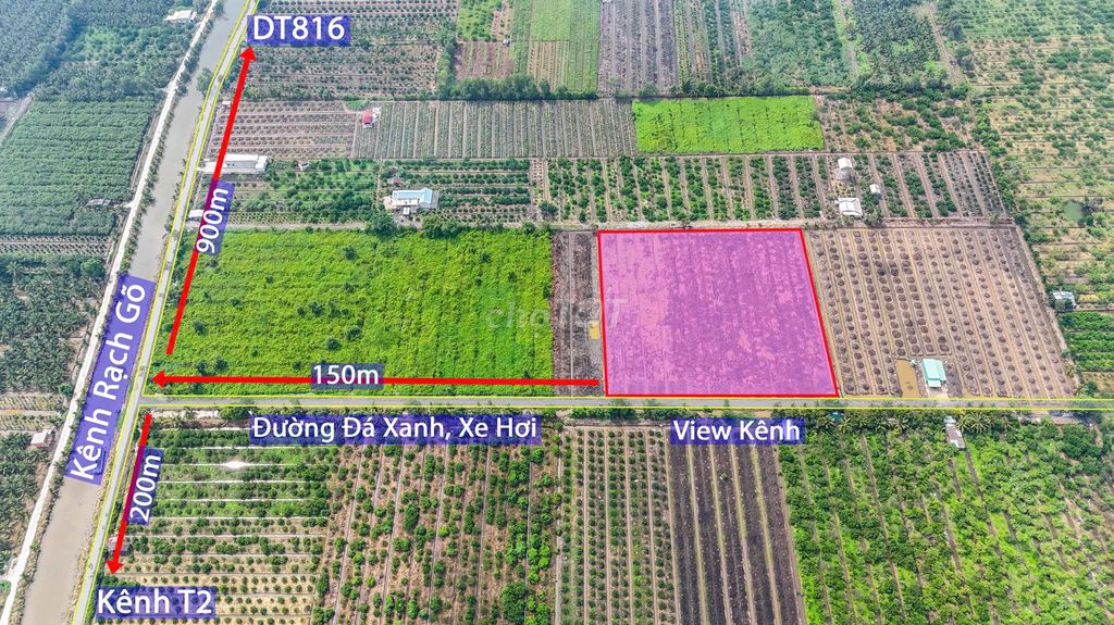 1000m2 vườn F0 view kênh đg xe tải quay đầu, điện nước vào tới đất. Mua bán đất tại Huyện Bến Lức Long An được đăng bởi phan Hoa hình 5