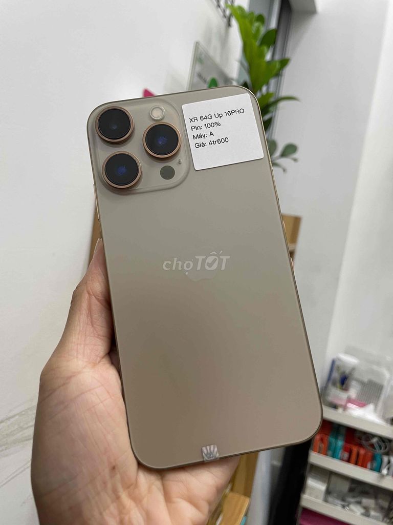 iphone XR 64G Quốc tế độ lên 16Pro Sa Mạc cam to