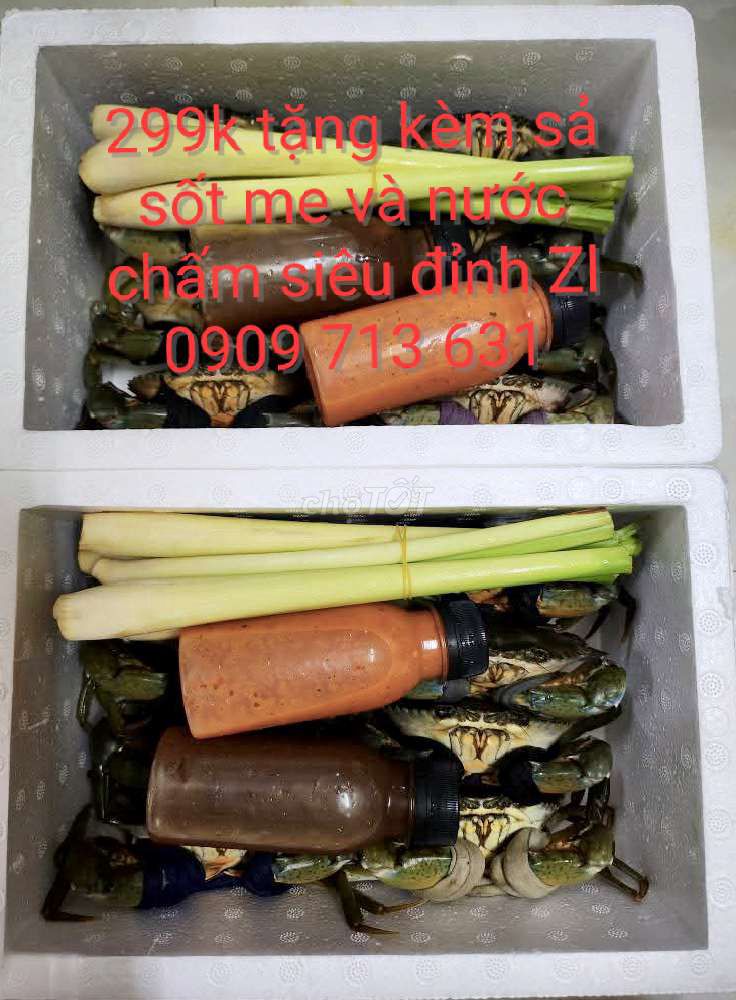Cua cà mau thùng 8 con 339k bao ăn từng con
