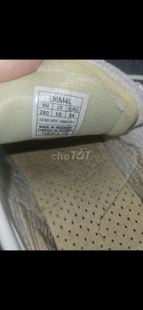 Giày tiger size 44