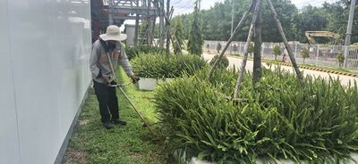 Tuyển nhân viên cây xanh - 6,500,000đ/tháng