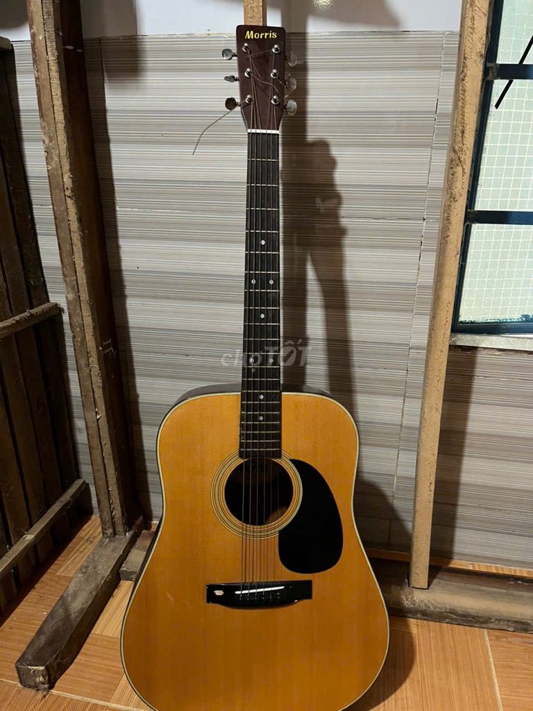 Đàn guitar Morris W-18 Nâu vàng. Mua bán Nhạc cụ tại Quận Liên Chiểu Đà Nẵng được đăng bởi hoàng kha hình 1