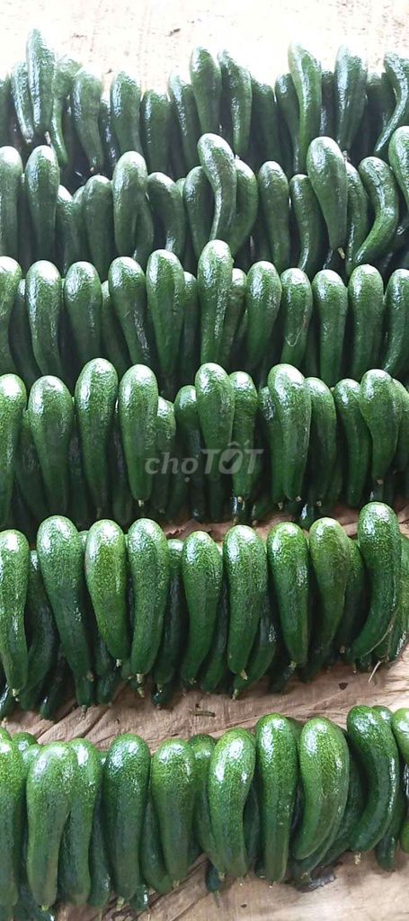 Bơ 034 Đắk Lắk. Mua bán Đồ ăn, thực phẩm và các loại khác tại Quận 8 Tp Hồ Chí Minh được đăng bởi Nm hình 1
