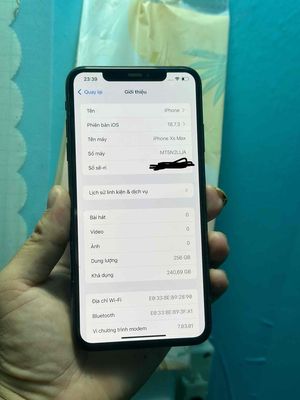 iPhone Xs Max 256GB QT id nhay mein zin pin100