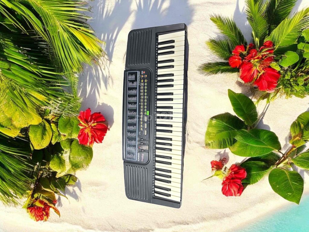 Đàn Organ Casio Nhật CT-363