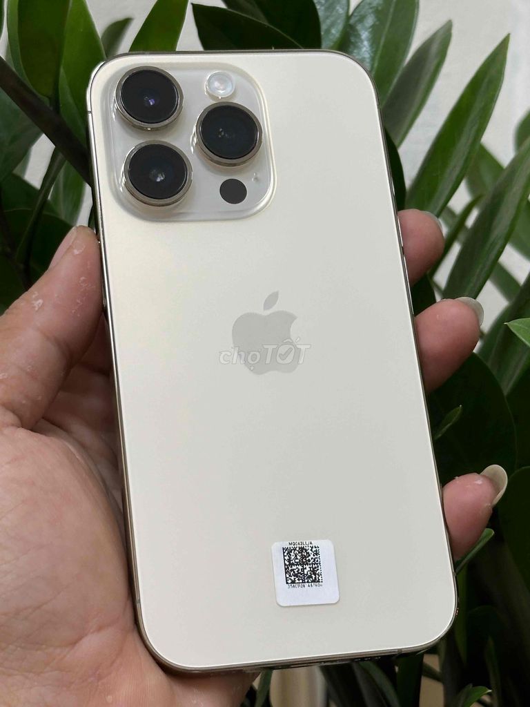 Apple iPhone 14 Pro 128GB Vàng. Mua bán Điện thoại tại Quận Cái Răng Cần Thơ được đăng bởi Liệt hình 1