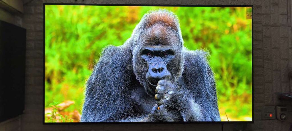 Tivi LG OLED77C1PTB - 2012. Mua bán Tivi, Âm thanh tại Quận Hai Bà Trưng Hà Nội được đăng bởi Mr Hung hình 1