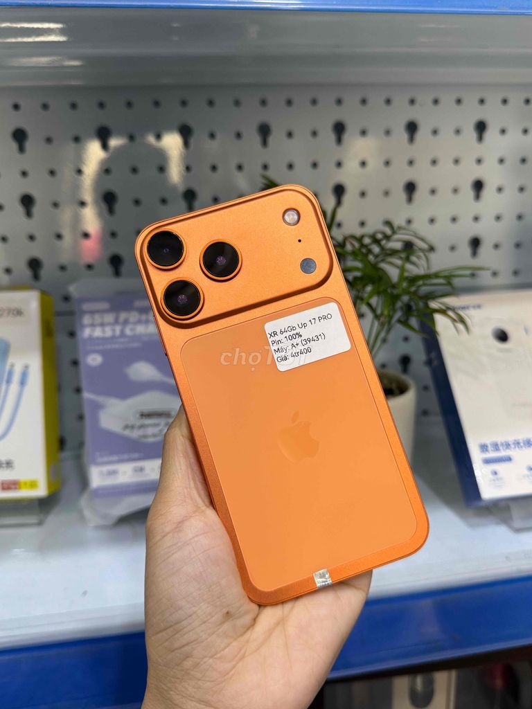iPhone XR 64GB Độ 17 Pro Cam Đẹp 99. Mua bán Điện thoại tại Huyện Hóc Môn Tp Hồ Chí Minh được đăng bởi Thu hình 1