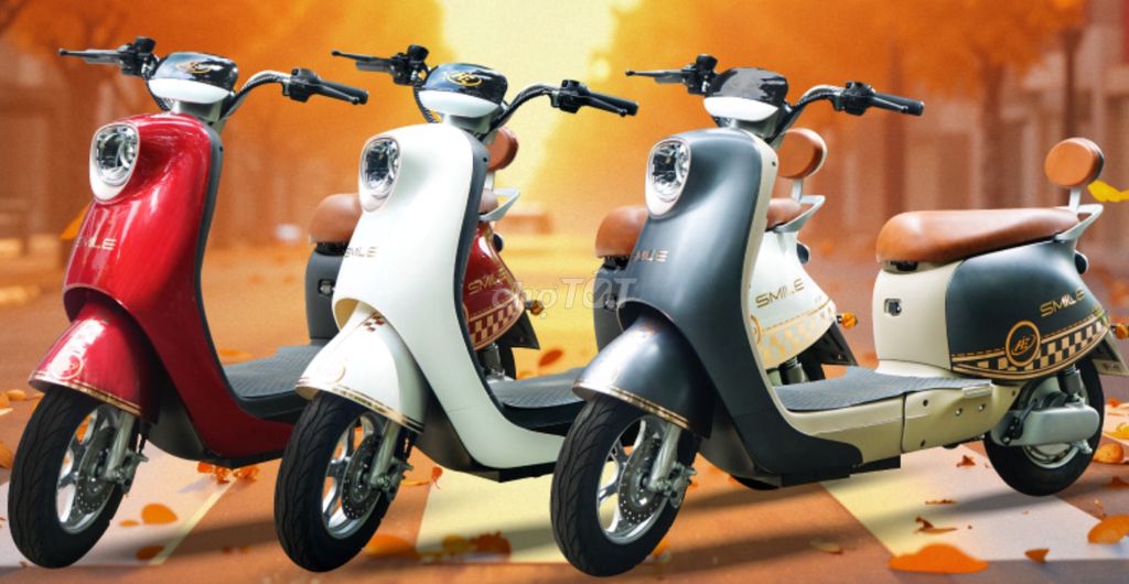 AIE SMILE PHIÊN BẢN ĐẶC BIỆT. Mua bán Xe điện tại Huyện Long Thành Đồng Nai được đăng bởi MR THANH hình 1