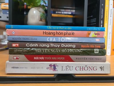Combo Truyện ngắn, văn học Việt Nam