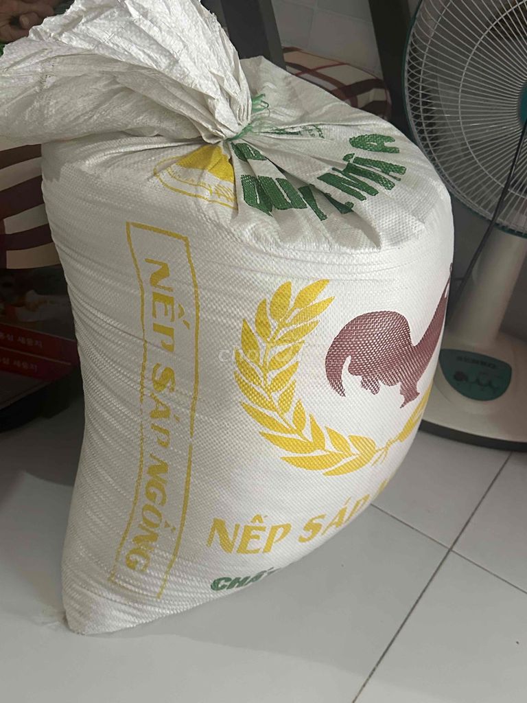 mình còn 45kg nếp sáp ngỗng cần bán rẻ