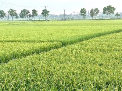 Bán Nhà Phường Tân Sơn Nhì : 4 x 23 M cấp 4 . Hẻm 7 M thông. Mua bán Nhà ở tại Quận Tân Phú Tp Hồ Chí Minh được đăng bởi NHÀ ĐẸP TÂN PHÚ 