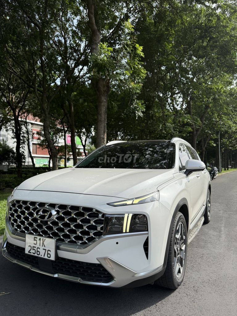 Ảnh số 8