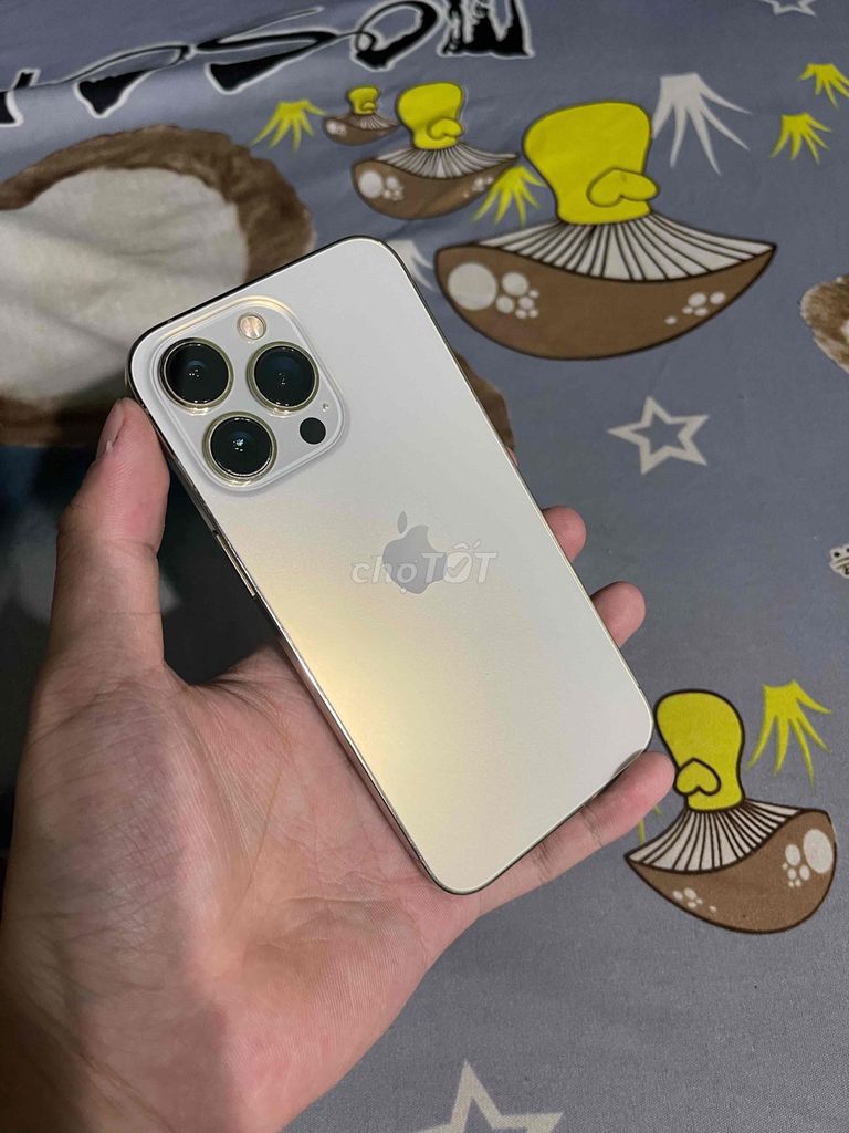 iPhone 13 Pro Quốc Tế 256gb Full CN Màn Zin Đốm. Mua bán Điện thoại tại Quận 11 Tp Hồ Chí Minh được đăng bởi Quế Nghĩa Mobile hình 1