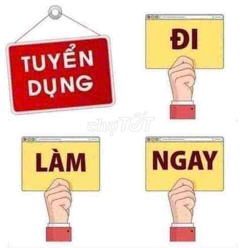 Tuyển dụng Lao động phổ thông