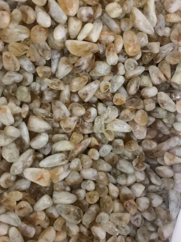 Vụn đá thạch anh vàng thả bể cá. Mua bán Thú cưng khác tại Quận Ba Đình Hà Nội được đăng bởi Cao Lê  hình 1