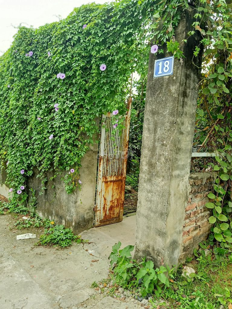 Дом в аренду 82м2 в Дык Дьене, Фу Дьен, Ханой недорого, 4м2
