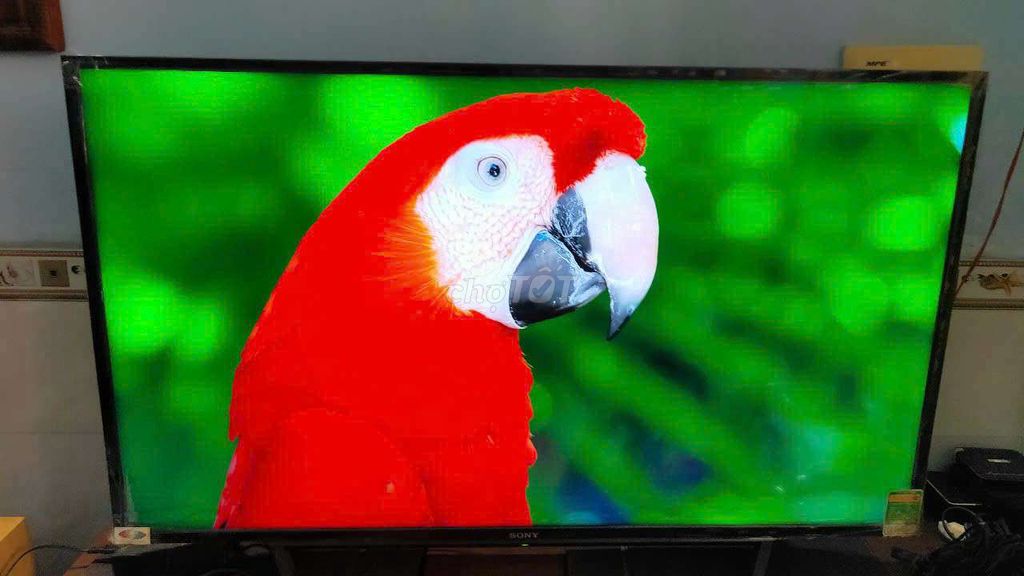 smart tivi sony 40in đang xài h8nhf ảnh đẹp. Mua bán Tivi, Âm thanh tại Huyện Bình Chánh Tp Hồ Chí Minh được đăng bởi bán mau lẹ hình 1