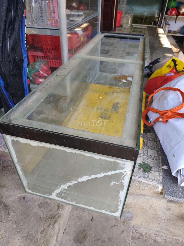 Bể cá kính 120x35x33cm 5li. Mua bán Phụ kiện, Thức ăn, Dịch vụ tại Quận Cẩm Lệ Đà Nẵng được đăng bởi Mun hình 1