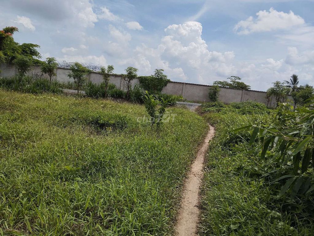 BÁN ĐẤT Ở+VƯỜN xã Phú Túc -Châu Thành Bến Tre