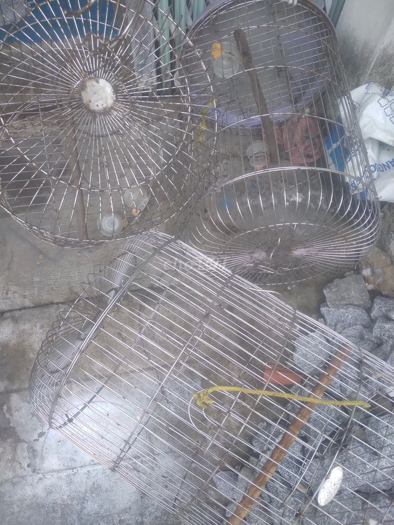 Lồng chim Inox màu Bạc. Mua bán Phụ kiện, Thức ăn, Dịch vụ tại Thành phố Cà Mau Cà Mau được đăng bởi Quoc Huy hình 1