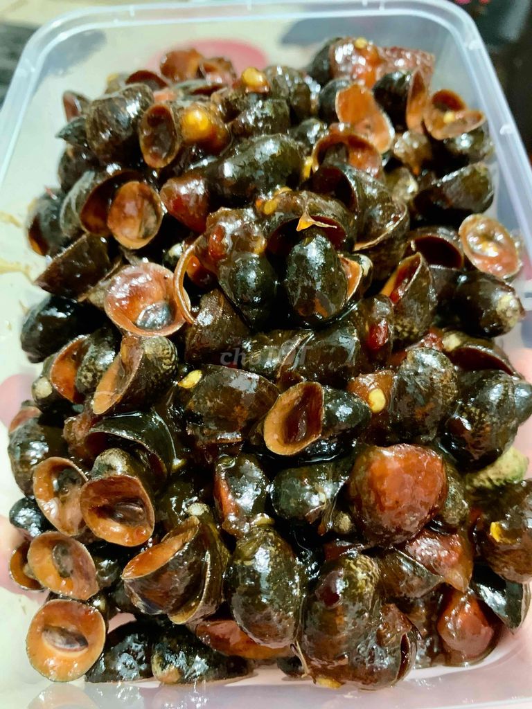 ỐC DỪA KẾ CỒ 95K nửa kg. Mua bán Đồ ăn, thực phẩm và các loại khác tại Quận 8 Tp Hồ Chí Minh được đăng bởi mimi hình 3