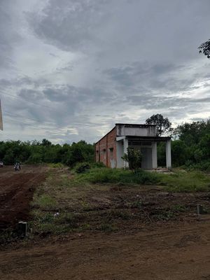 Bán đất Thạnh Lộc, Thạnh Bình Tân Biên, 50m2 thổ cư