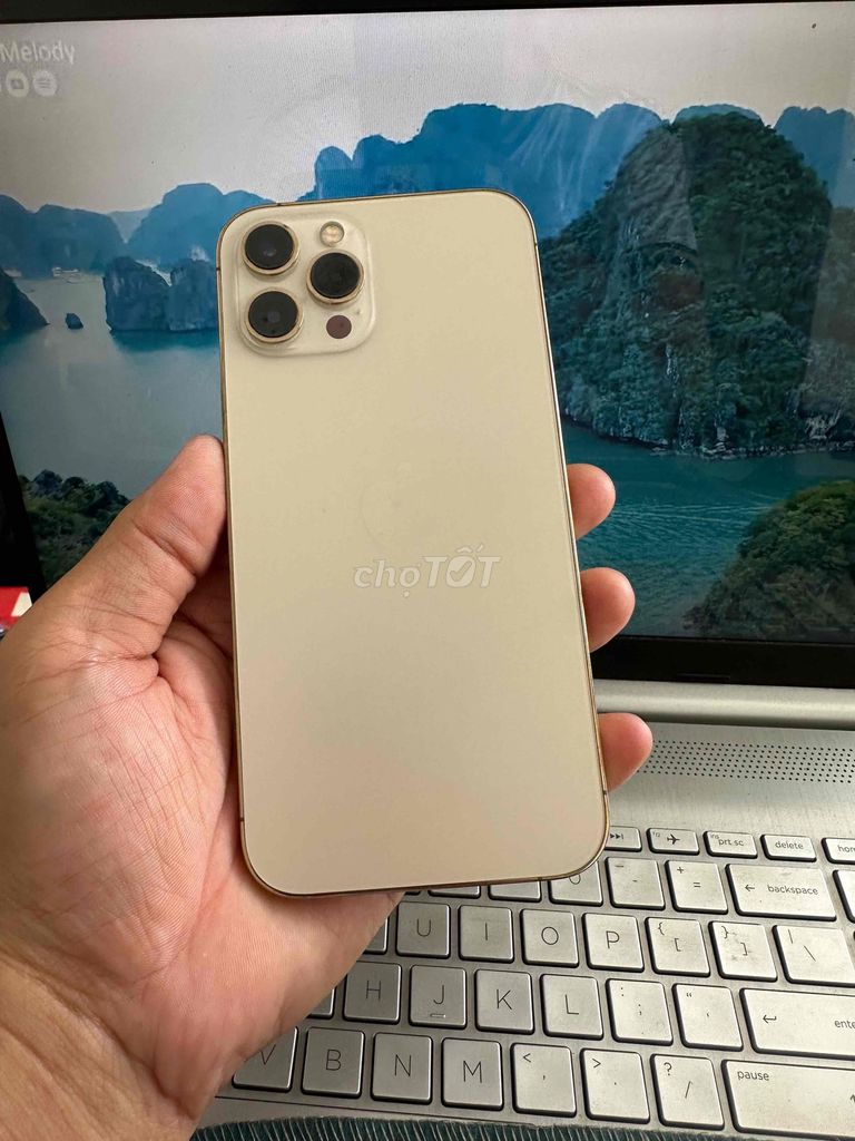 Apple iPhone 12 Pro Max 256GB Vàng. Mua bán Điện thoại tại Thành phố Dĩ An Bình Dương được đăng bởi junstar store hình 1