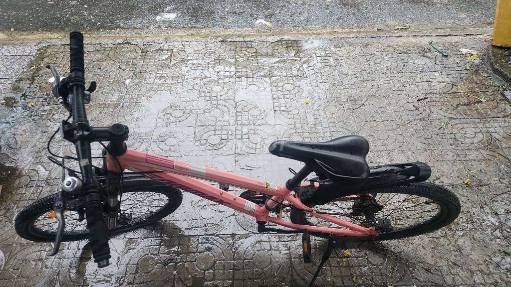 Xe Đạp Trẻ Em Mua Tại Điện Máy Xanh.Từ 6 -10t. Mua bán Xe đạp tại Quận Sơn Trà Đà Nẵng được đăng bởi Sanh Trần Bds hình 2