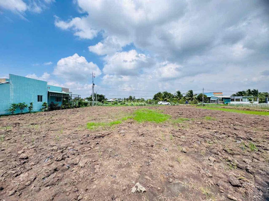 Đất thổ cư mặt tiền nhựa Nguyễn Thị Lầu, dân đông, đường thông. Mua bán đất tại Huyện Tân Trụ Long An được đăng bởi Tuyến Lê hình 2