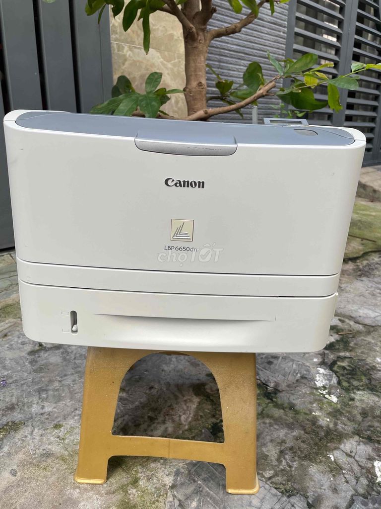 Máy in 2 mặt tự động canon 6650dn