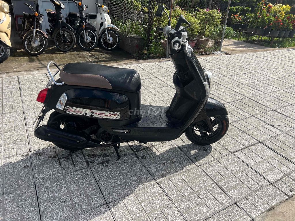 xe máy zin vip bs65 ngây chủ. Mua bán Xe máy tại Quận Ninh Kiều Cần Thơ được đăng bởi đầy cửa hàng cầu hưng lợi nk cần thơ hình 2