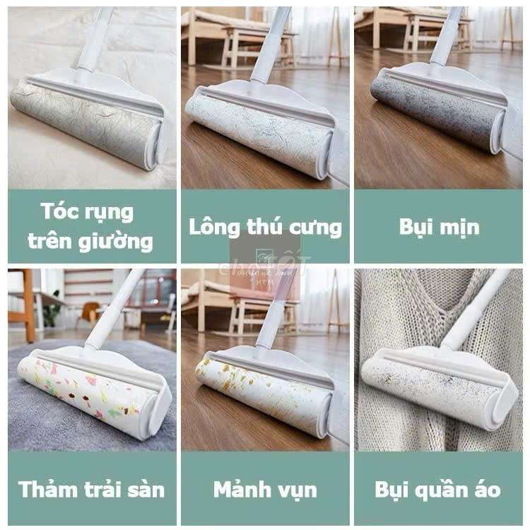 CÂY LĂN BỤI MUA 1 ĐƯỢC 2 ✅