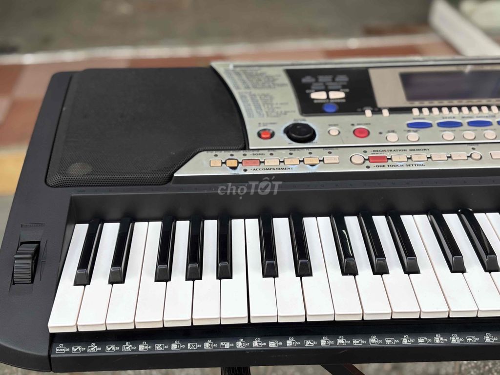 Organ Yamaha Psr550