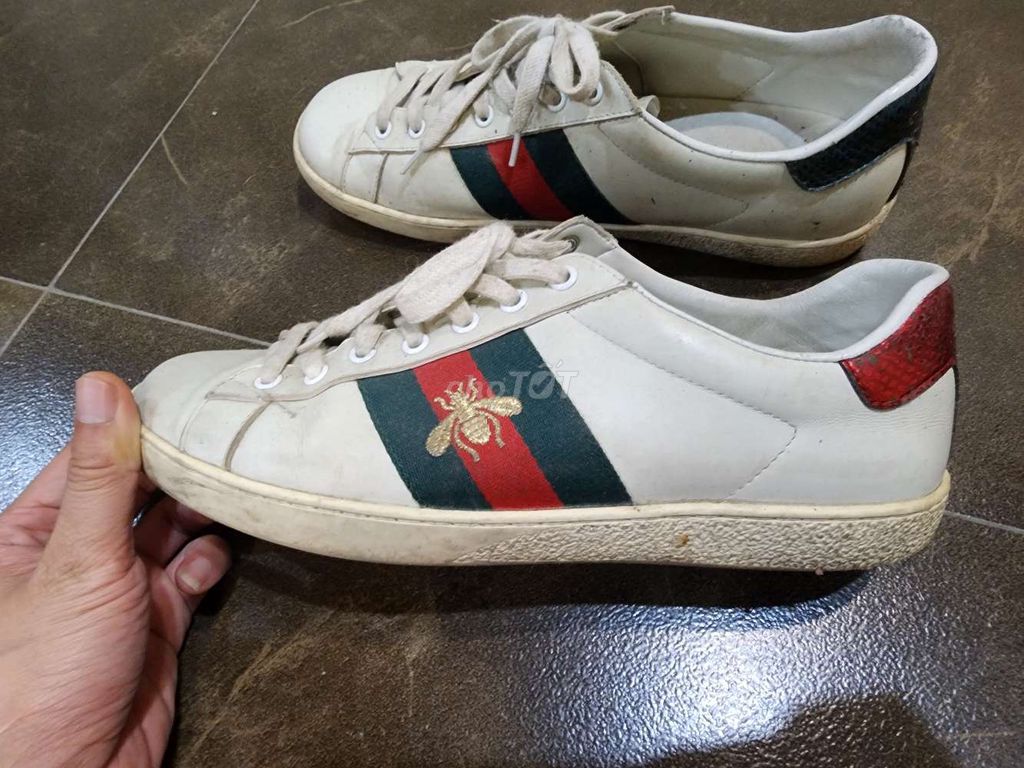 Giày thể thao Gucci Da Trắng Size 41 Trung Quốc. Mua bán Giày dép tại Quận Hoàng Mai Hà Nội được đăng bởi leesin hình 1