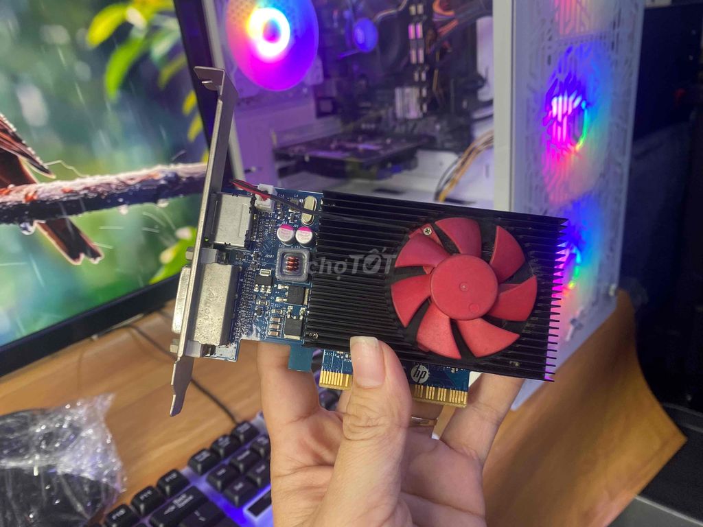 CARD MÀN HÌNH GT730 2GB LẮP MÁY RIN KENG