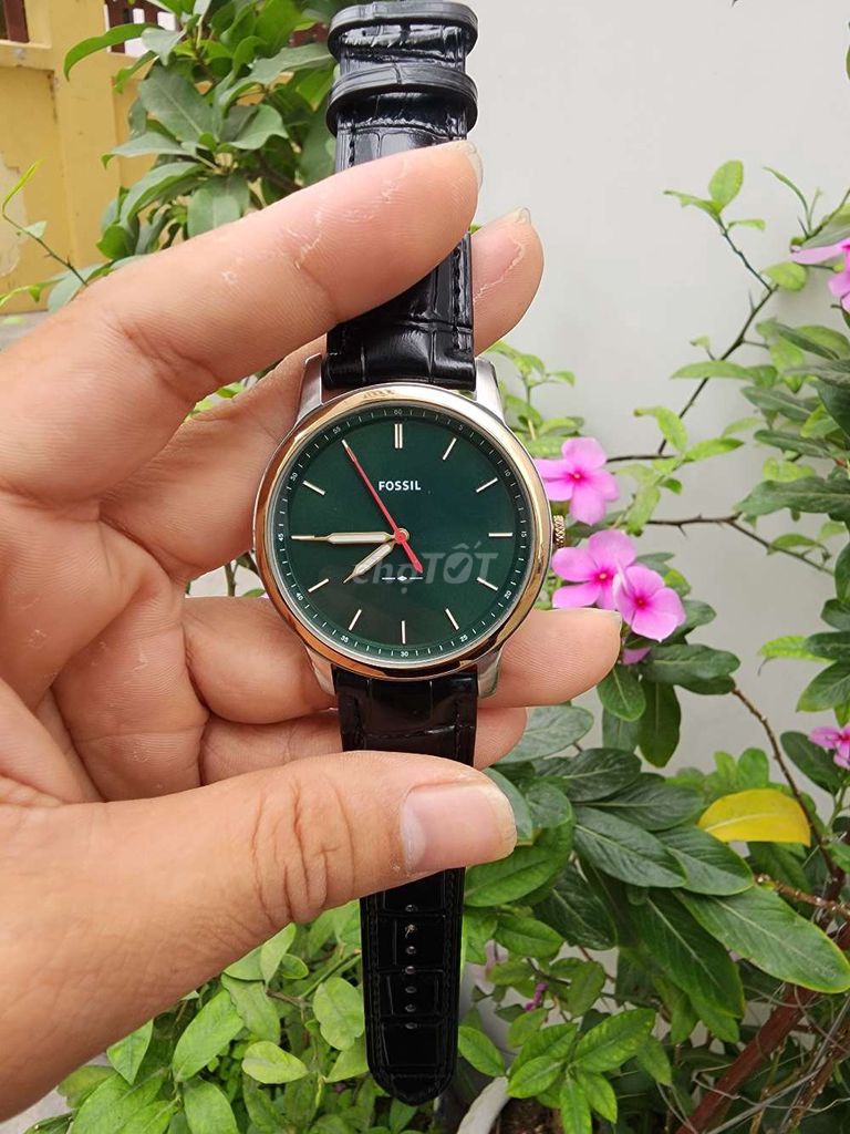 Đồng hồ Fossil Nam Xanh lá 44mm. Mua bán Đồng hồ tại Quận Hải An Hải Phòng được đăng bởi Tùng hình 1