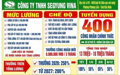 Segyung vina logo
