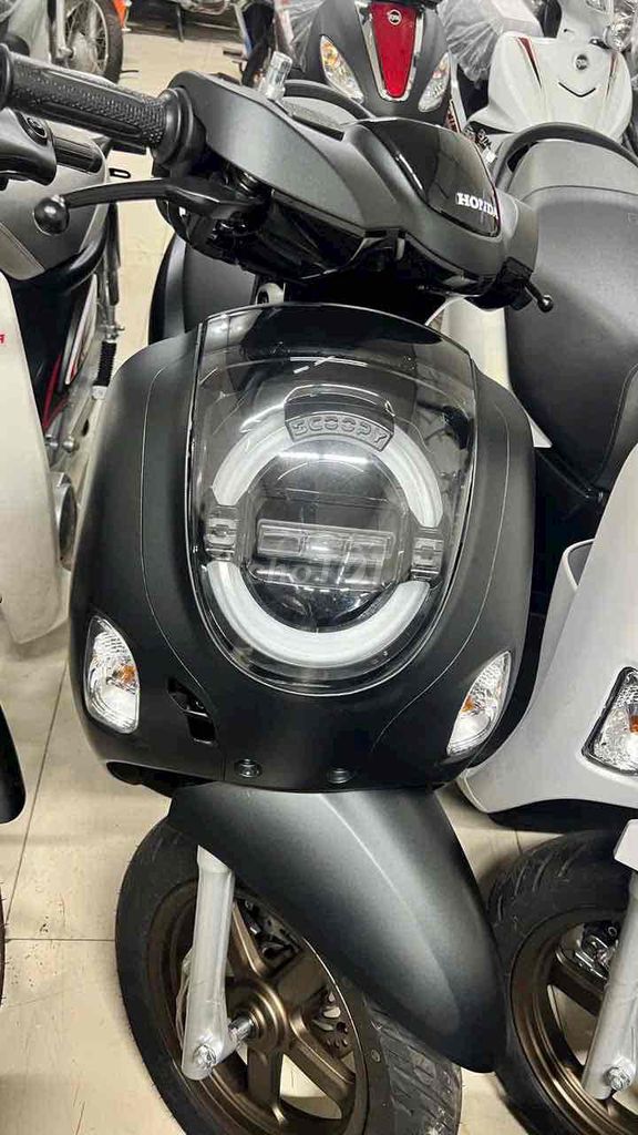Honda Scoopy Xe tay ga màu Đen Mới. Mua bán Xe máy tại Thành phố Sa Đéc Đồng Tháp được đăng bởi Xe Máy 66 Đồng Tháp Giá Rẻ hình 1