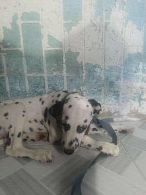 Do bận nhiều công việc nên không có thời gian