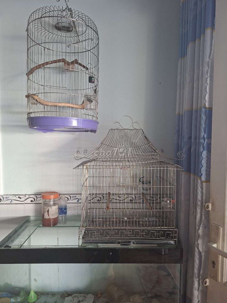 Lồng chim Kim loại Bạc số lượng 2. Mua bán Phụ kiện, Thức ăn, Dịch vụ tại Thị xã Bến Cát Bình Dương được đăng bởi Nguyen hoang nam hình 1