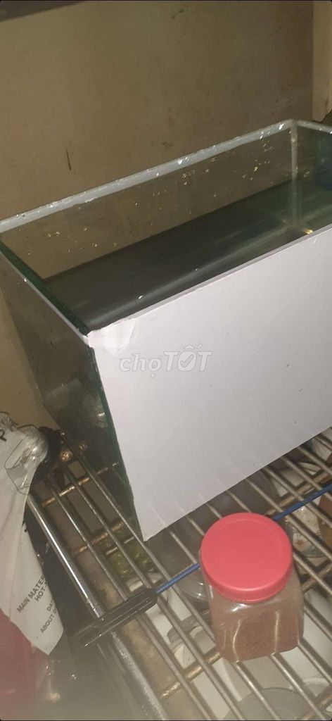 Bể cá kính 32x21x20cm. Mua bán Phụ kiện, Thức ăn, Dịch vụ tại Quận 10 Tp Hồ Chí Minh được đăng bởi Hứa hình 1