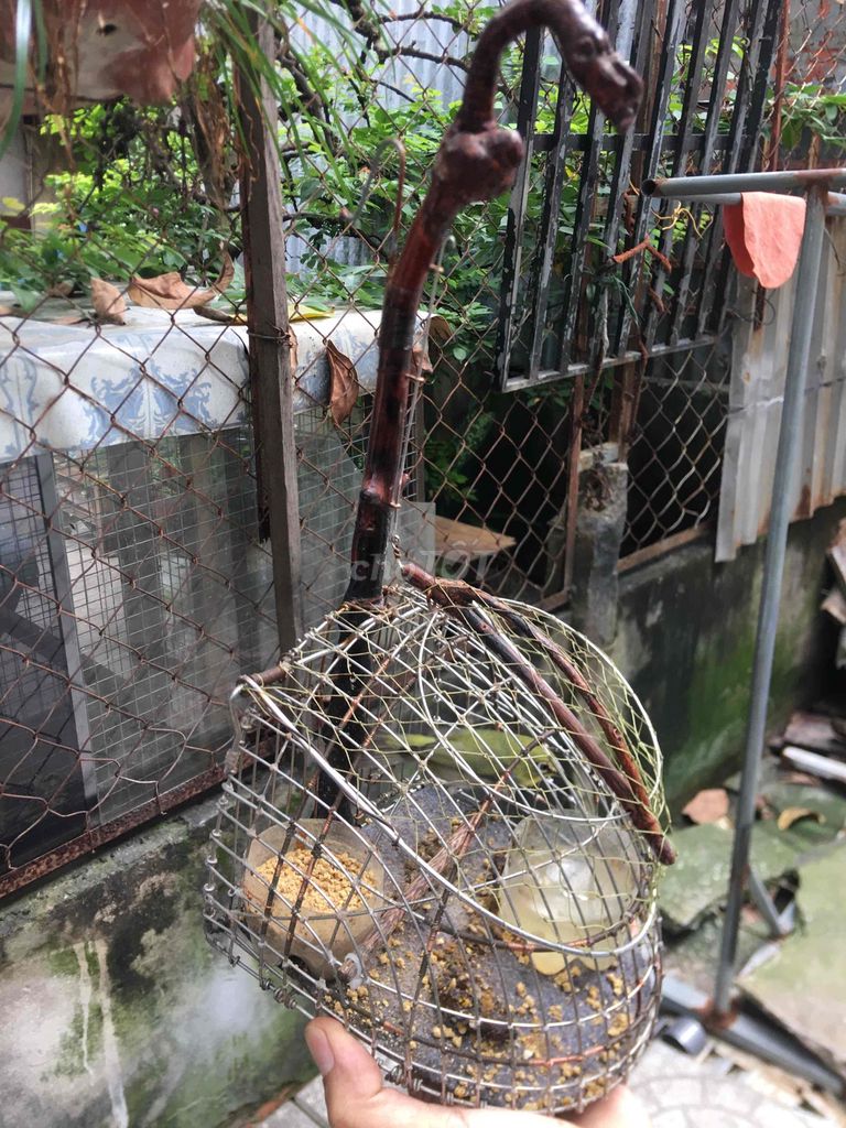 lụp chim nhỏ mi ni inox. Mua bán Phụ kiện, Thức ăn, Dịch vụ tại Quận Ninh Kiều Cần Thơ được đăng bởi luân pham hình 5